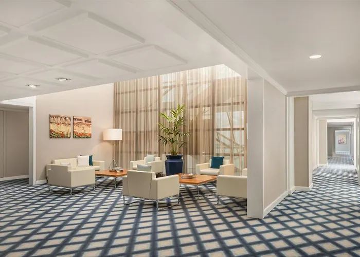 هيلتون فندق