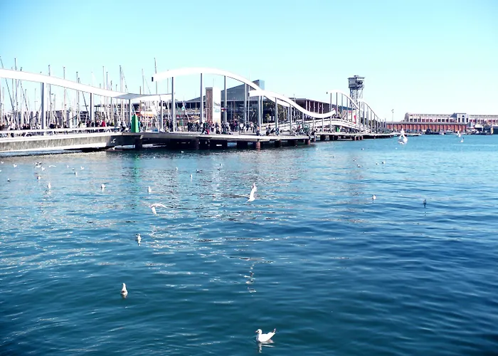 هيلتون فندق 4*